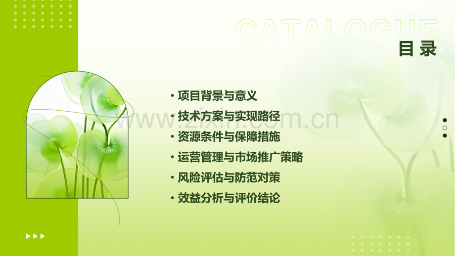 第三课堂可行性报告.pptx_第2页