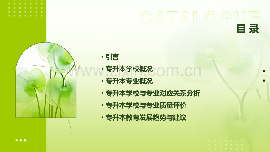 专升本学校与专业分析报告.pptx_第2页