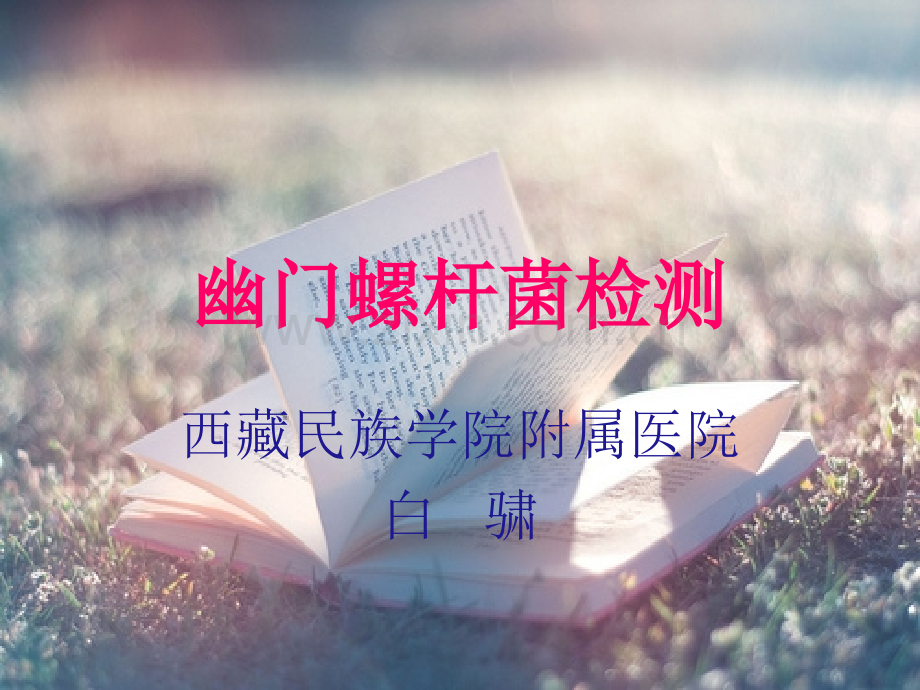 幽门螺杆菌检测.ppt_第2页