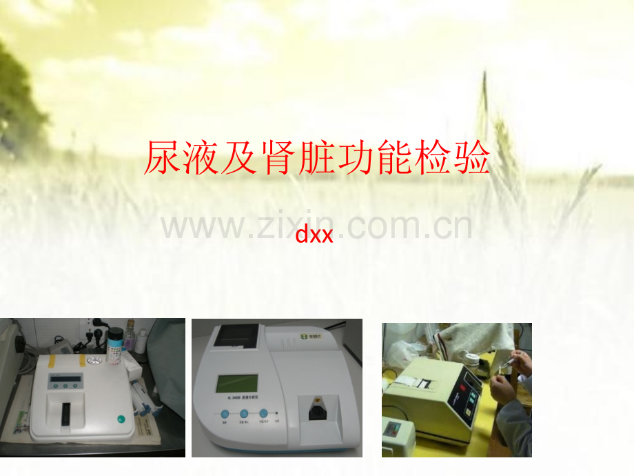 尿液及肾脏功能检查-PPT.pptx_第1页
