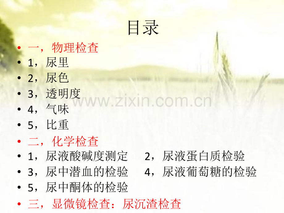 尿液及肾脏功能检查-PPT.pptx_第2页