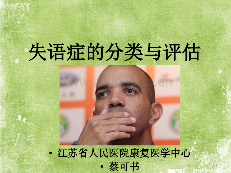 失语症分类和评估ppt.ppt_第1页