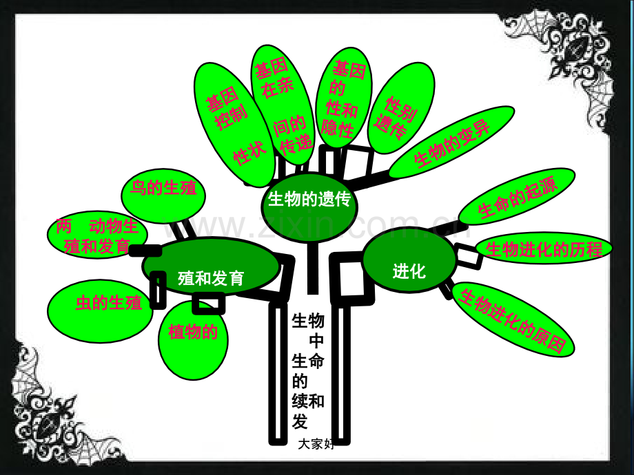 八年级生物下册总复习.ppt_第1页