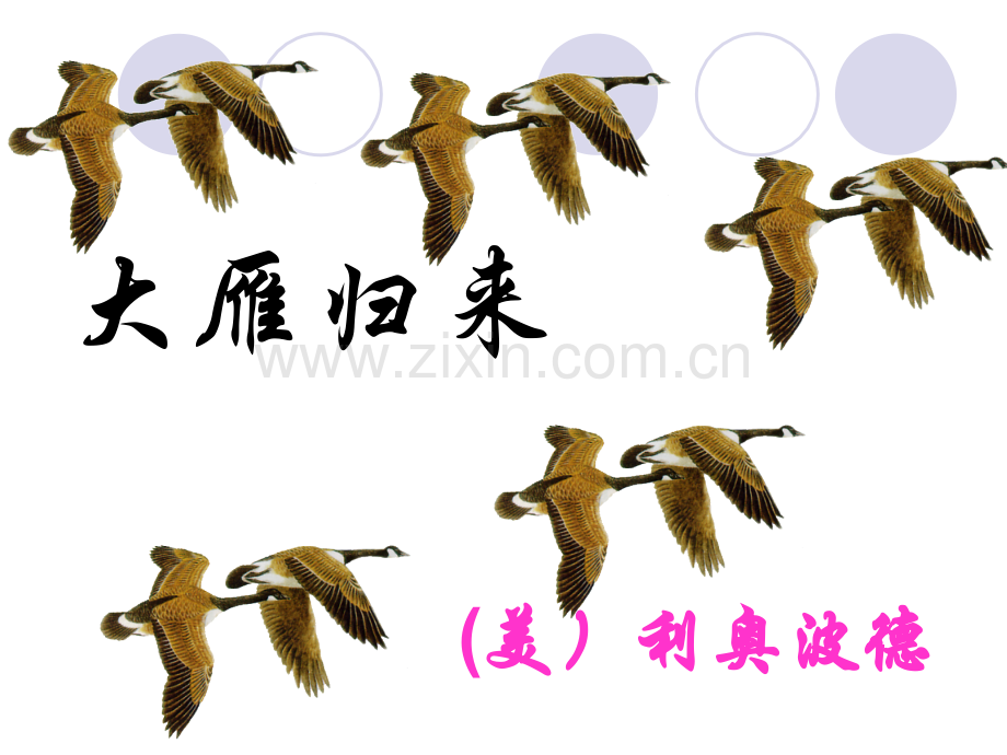 《大雁归来》PPT课件资料讲解.ppt_第1页