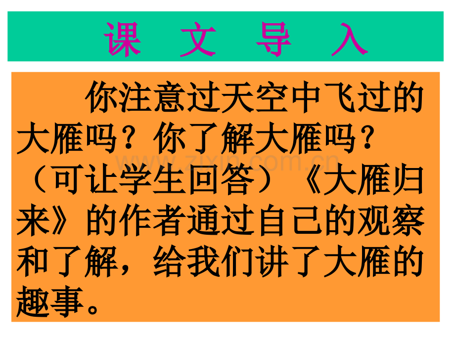 《大雁归来》PPT课件资料讲解.ppt_第2页
