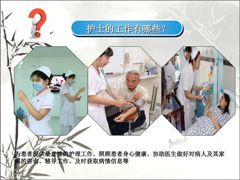 护理信息学-PPT.ppt_第2页