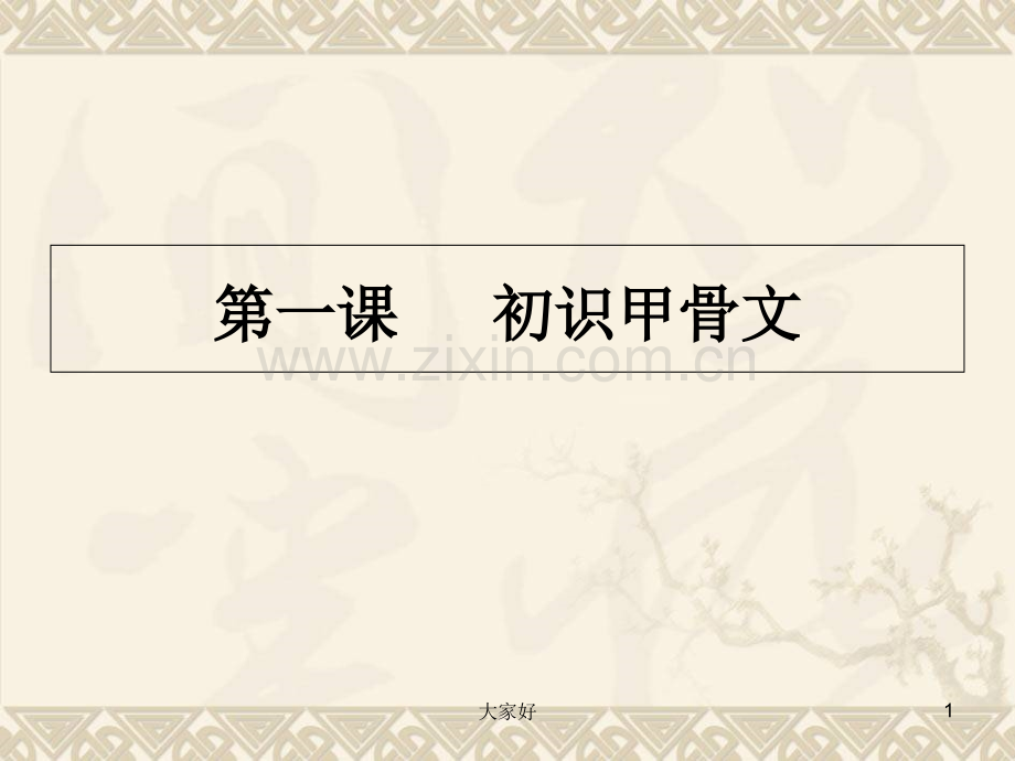 初识甲骨文.ppt_第1页