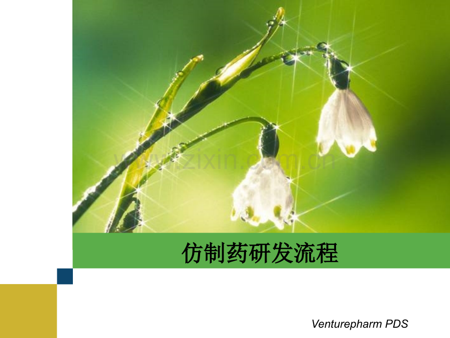 仿制药研发流程-PPT.ppt_第2页