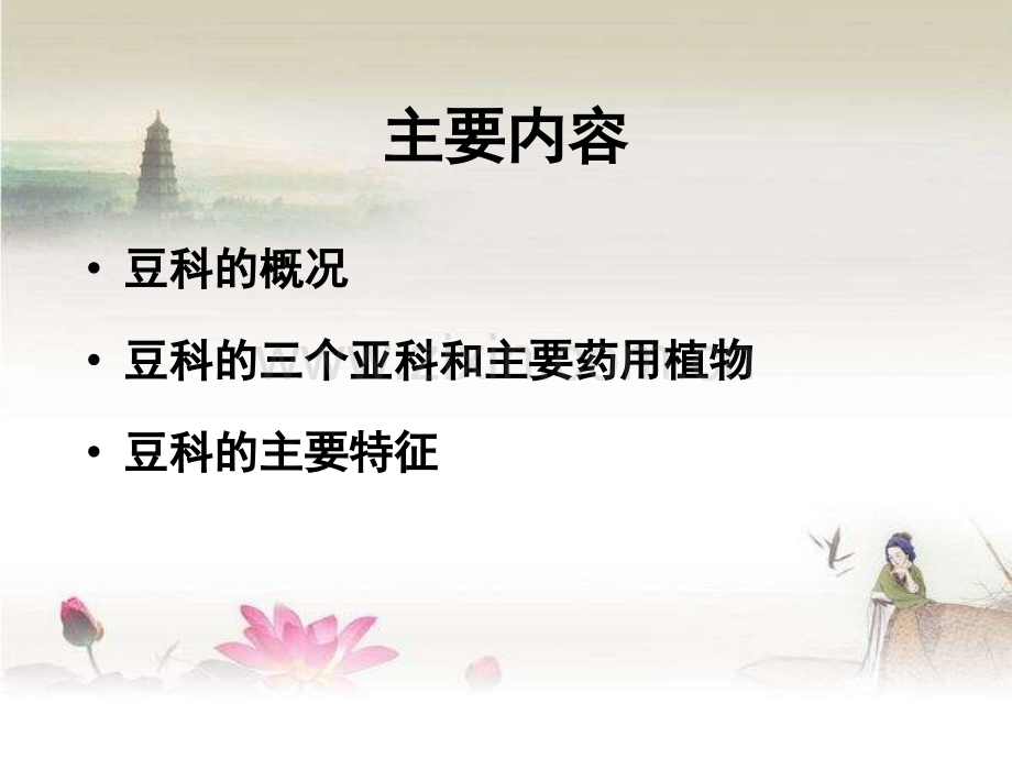 药用植物学-豆科ppt.ppt_第2页
