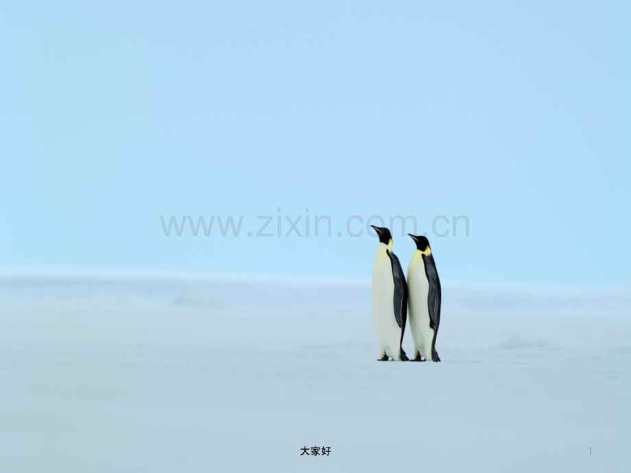南极洲地理介绍.ppt_第1页