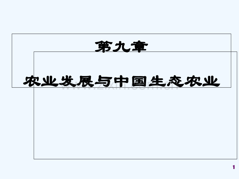 农业发展与中国生态农业-PPT.ppt_第1页