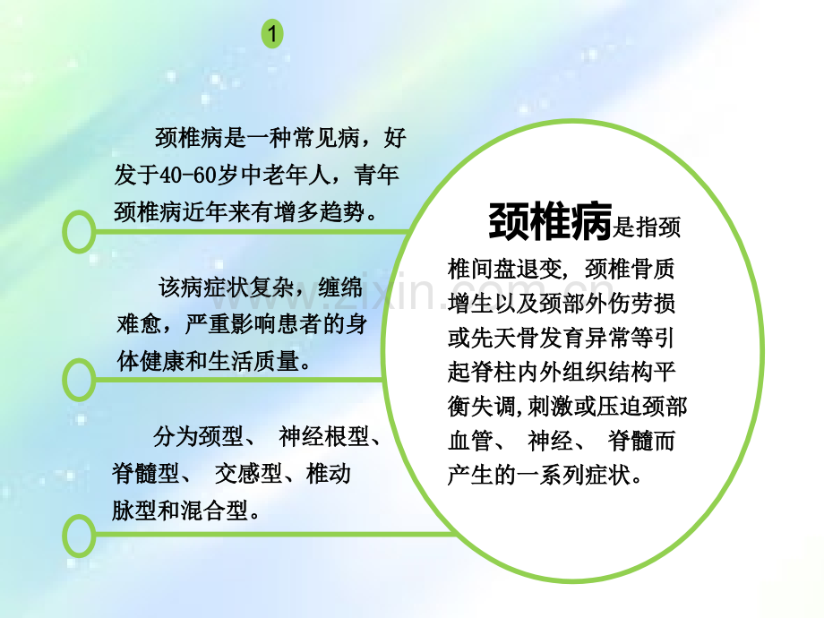 颈椎病的针刺治疗-PPT.ppt_第2页