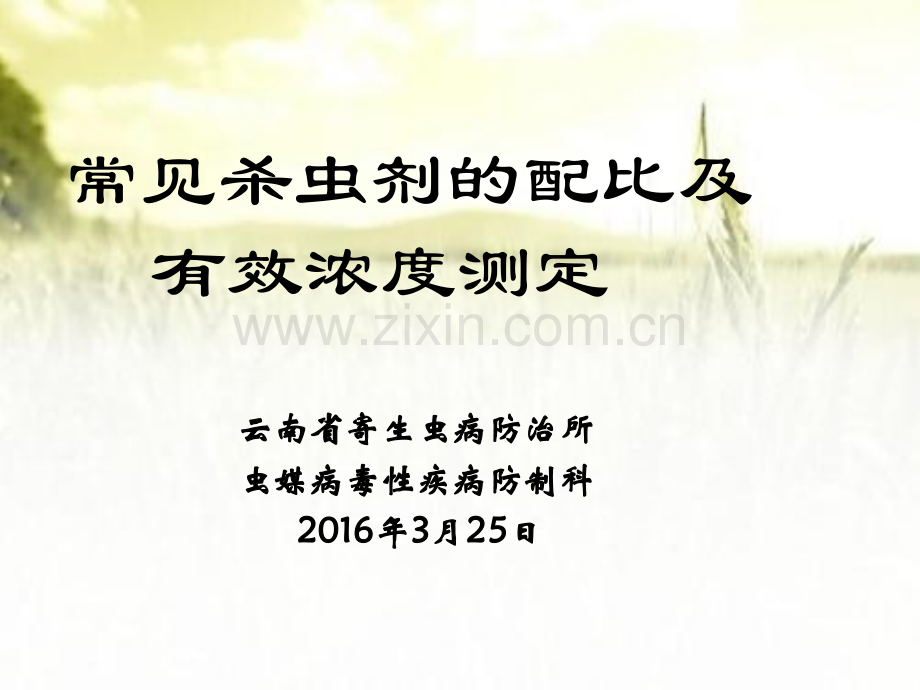 常见杀虫剂的配比及有效浓度测定ppt.ppt_第1页