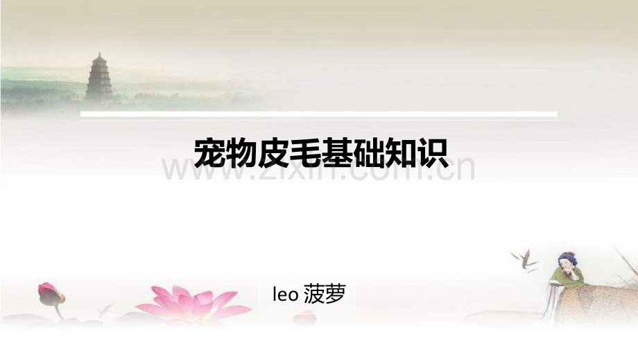 宠物皮毛基础知识ppt.ppt_第1页