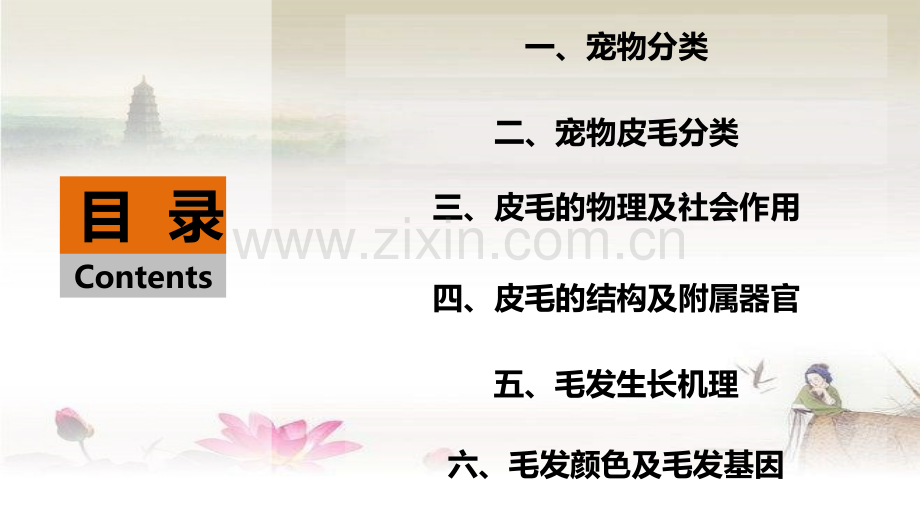 宠物皮毛基础知识ppt.ppt_第2页