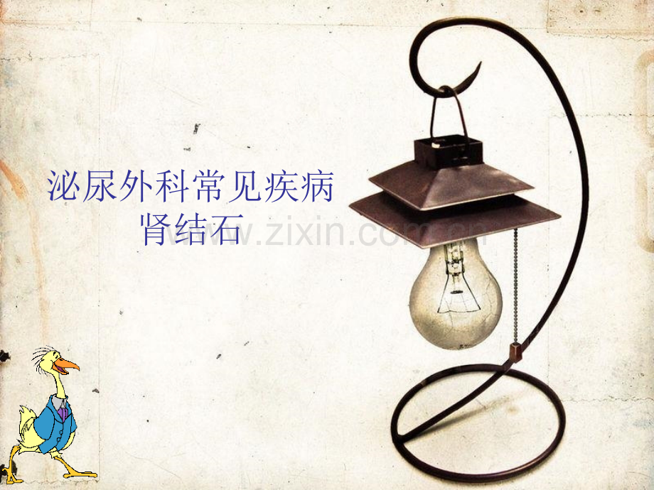 肾输尿管结石课件-PPT.ppt_第1页