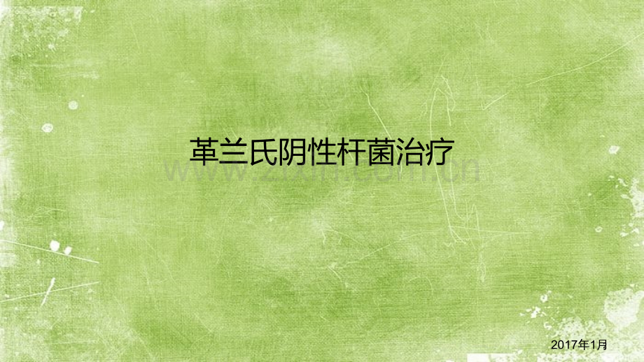 革兰氏阴性杆菌治疗-PPT.pptx_第2页