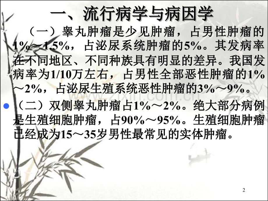 睾丸肿瘤诊断治疗指南ppt.ppt_第2页