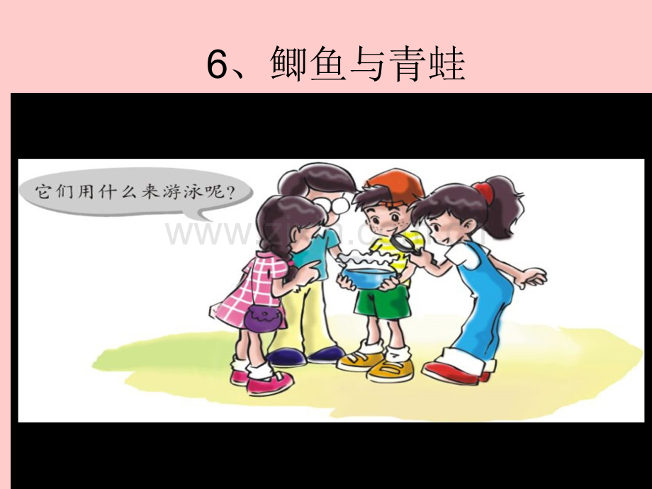 三年级科学上册《鲫鱼与青蛙》课件.ppt_第1页