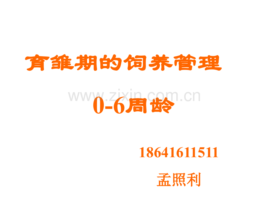 育雏期饲养管理.ppt_第2页