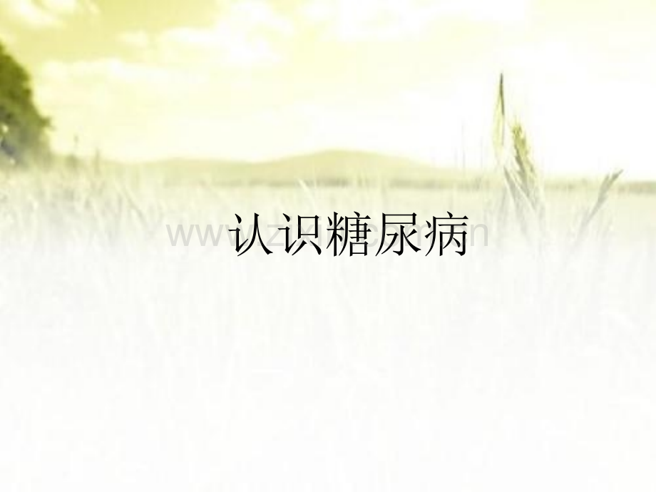 认识糖尿病-PPT.pptx_第1页