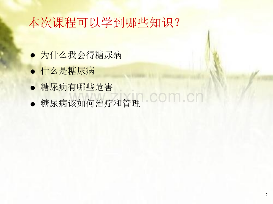 认识糖尿病-PPT.pptx_第2页