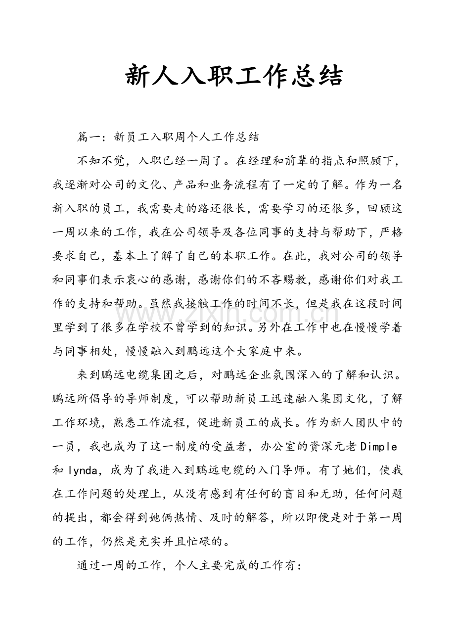 新人入职工作总结.doc_第1页
