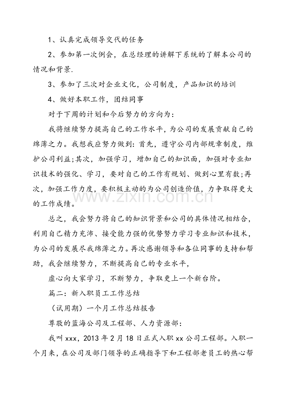 新人入职工作总结.doc_第2页