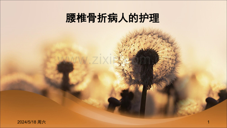 腰椎骨折中医护理方案ppt.ppt_第1页