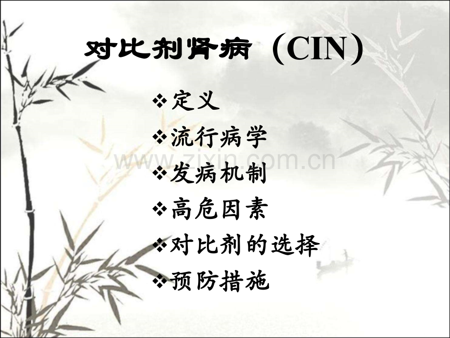 对比剂肾病指南的解读ppt.ppt_第2页