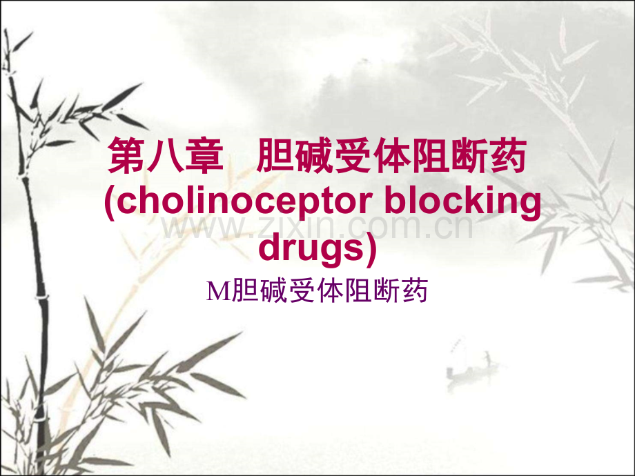 胆碱受体阻断药.ppt_第1页