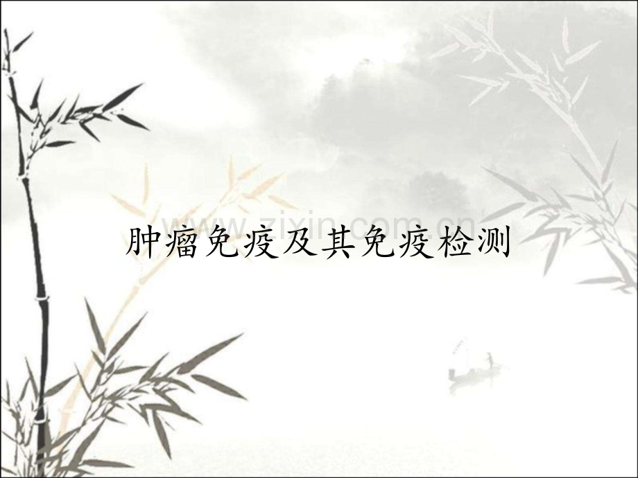 肿瘤免疫及其免疫检测.pptx_第1页