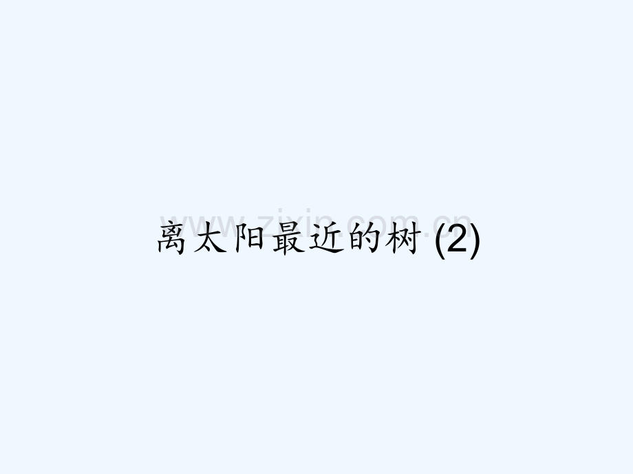 离太阳最近的树-(2).pptx_第1页