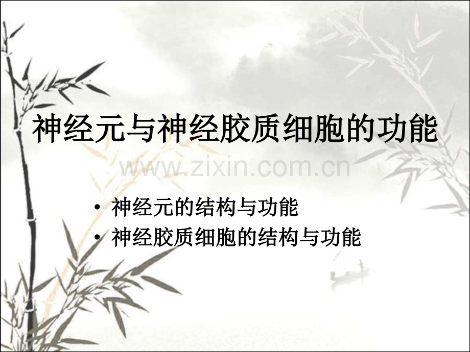 神经元和突触ppt课件.ppt_第2页
