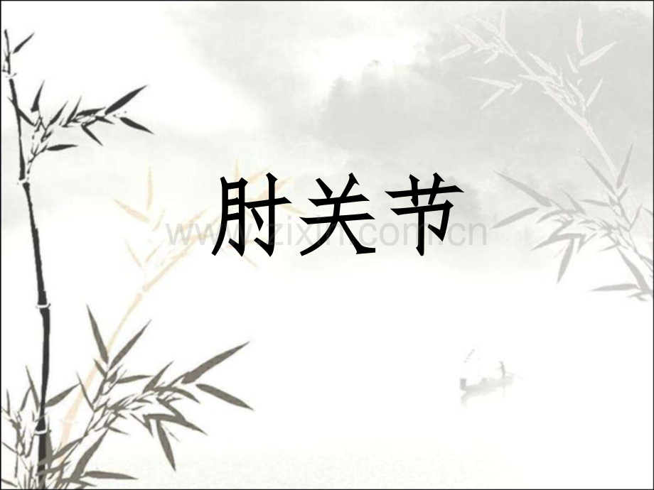 肘关节解剖运动学说.ppt_第1页