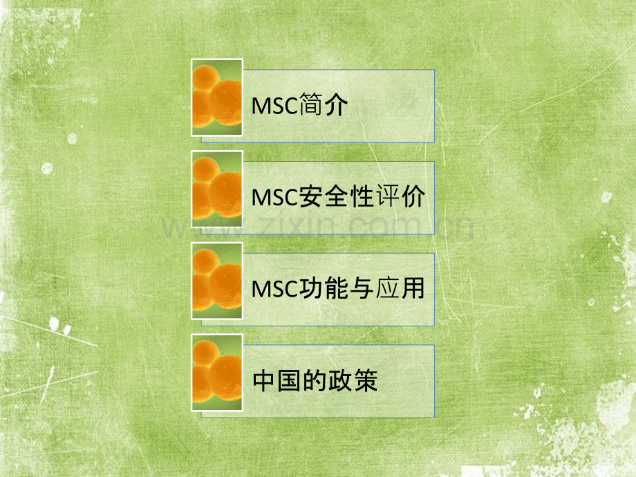 MSC功能及应用间充质干细胞临床应用ppt.ppt_第2页