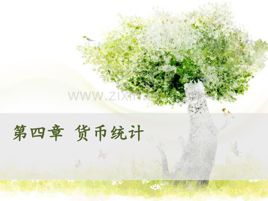 货币与金融统计第四章.ppt_第1页