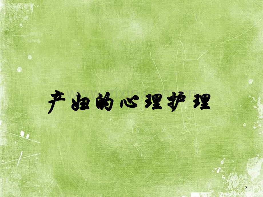 产妇心理护理-PPT.ppt_第2页