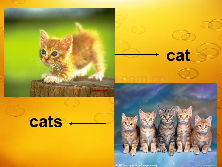 新版冀教版小学英语三年级下册lesson2-cats-and-dogs-课件ppt.ppt_第2页