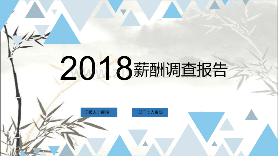 2018年-2019年年薪酬调查报告ppt.ppt_第1页