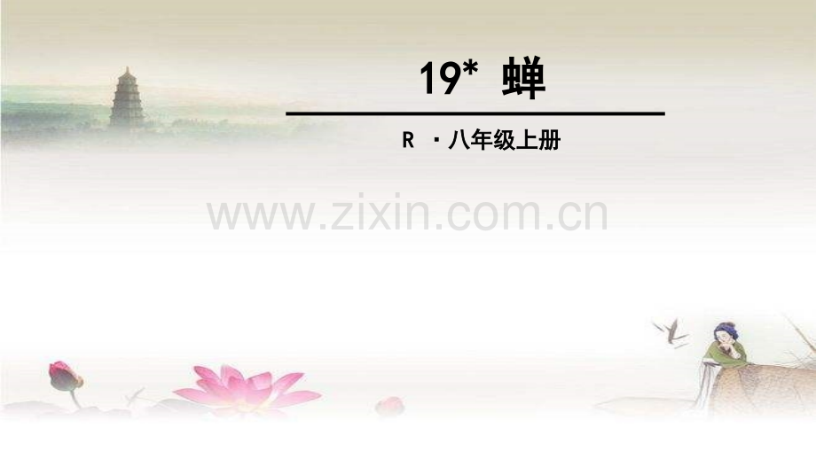 八年级语文《19蝉》-PPT.ppt_第1页
