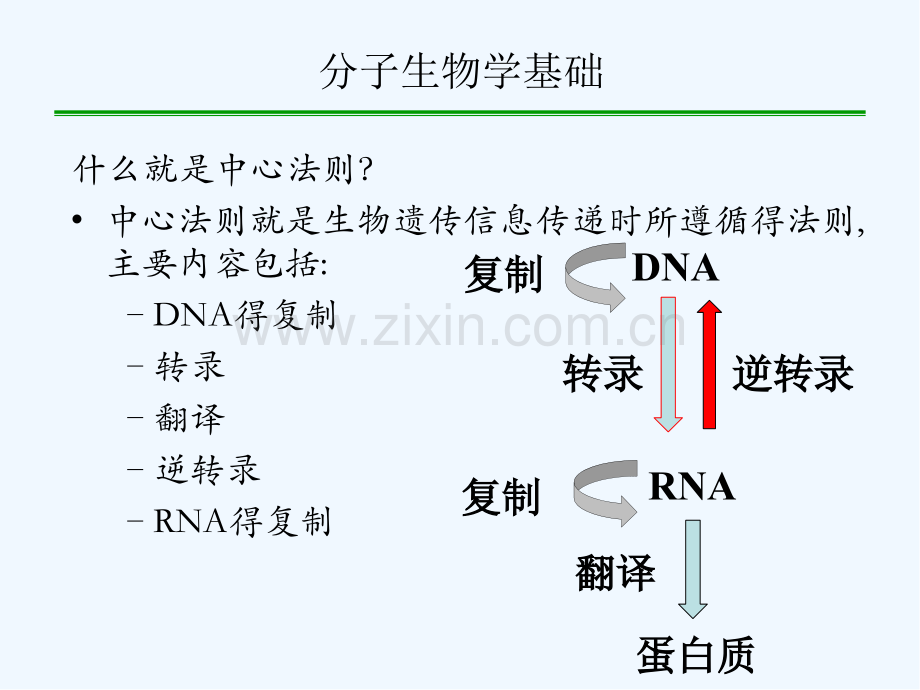 分子生态学期末复习-PPT.pptx_第2页
