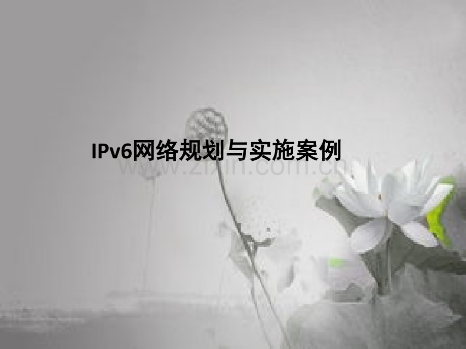 IPV6实施部署案例-PPT.ppt_第1页