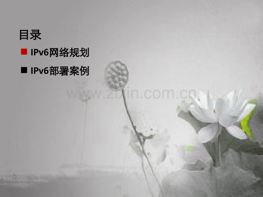 IPV6实施部署案例-PPT.ppt_第2页