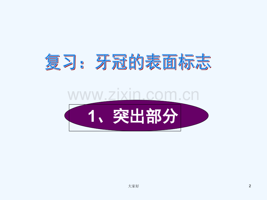 前牙及双尖牙解剖-PPT.ppt_第2页