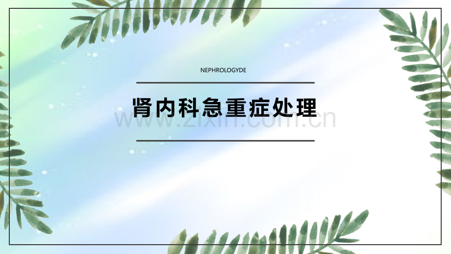 肾内科急重症处理-PPT.ppt_第1页