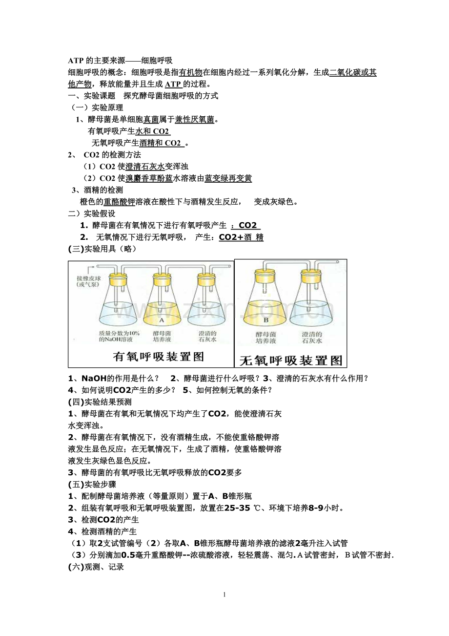 光合作用和呼吸作用知识点总结(DOC).pdf_第1页