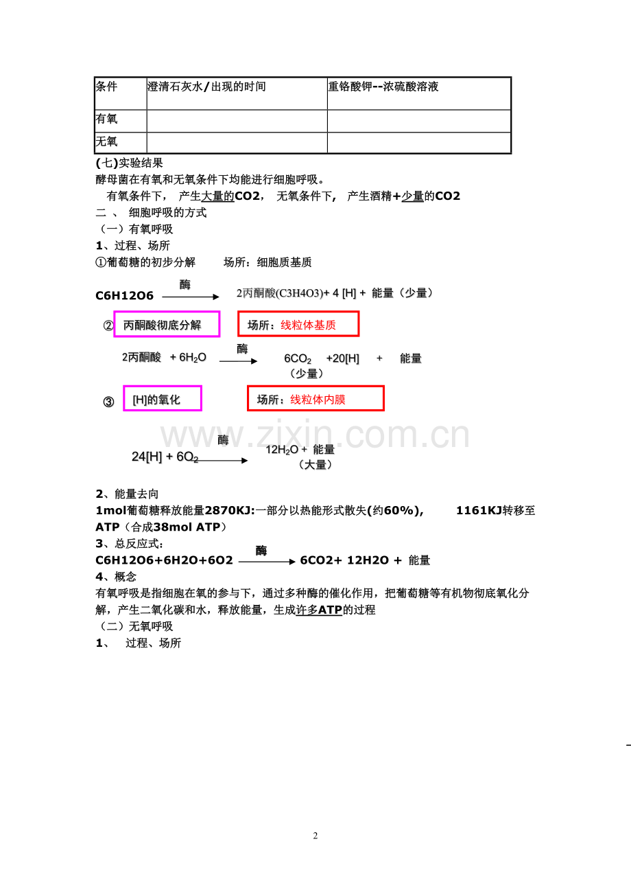 光合作用和呼吸作用知识点总结(DOC).pdf_第2页