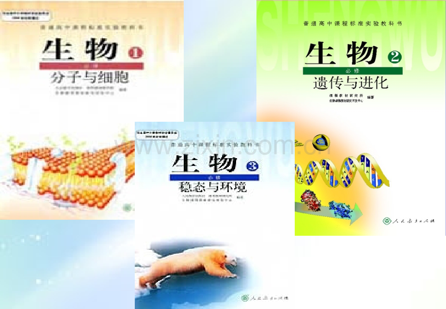 细胞生活的环境课件ppt.ppt_第1页