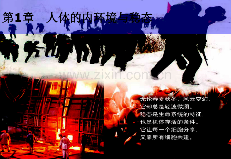 细胞生活的环境课件ppt.ppt_第2页